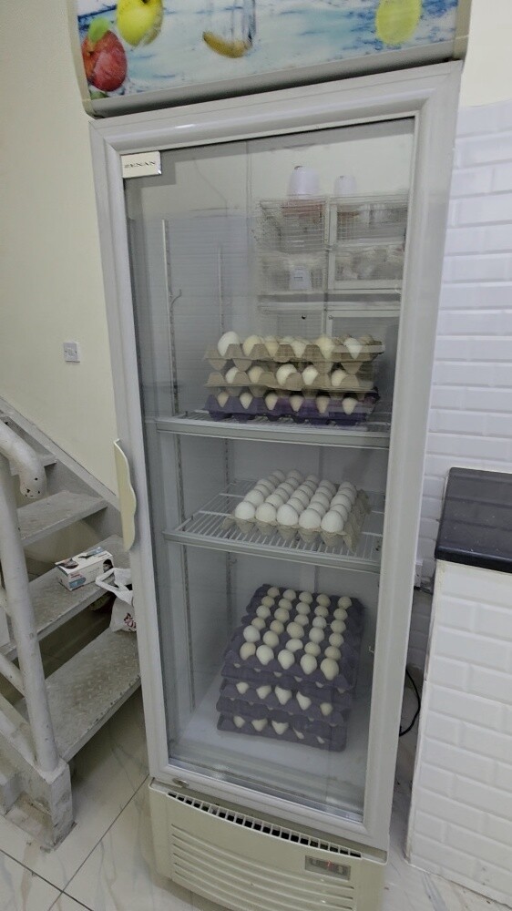 Chicken and meat Shop for sell - 12