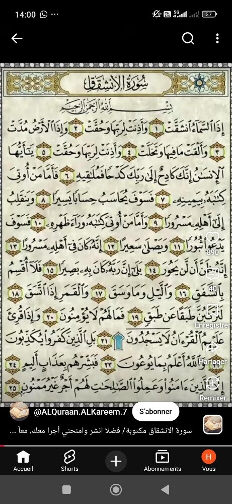 ام رتيل - 1