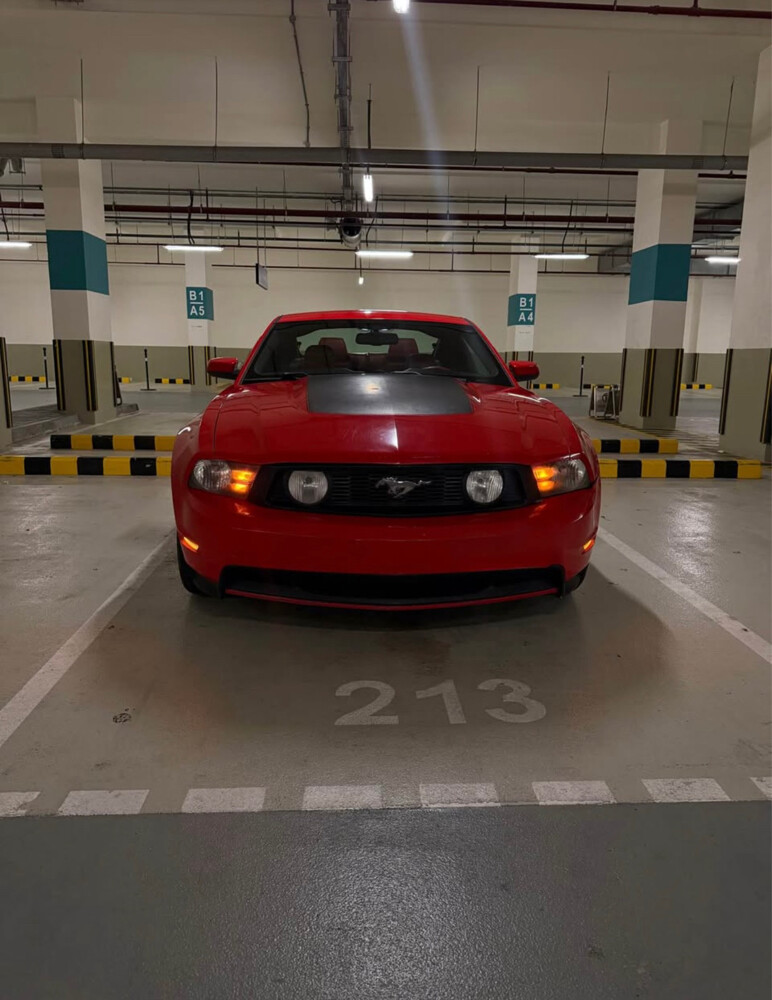 mustang gt v8 5.0L manual - 1