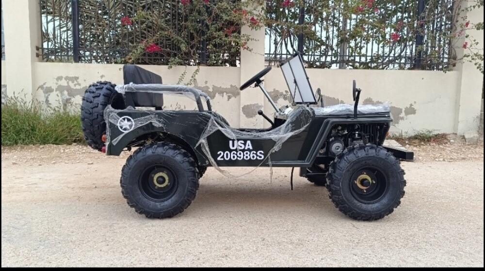 Mini Jeep - 1