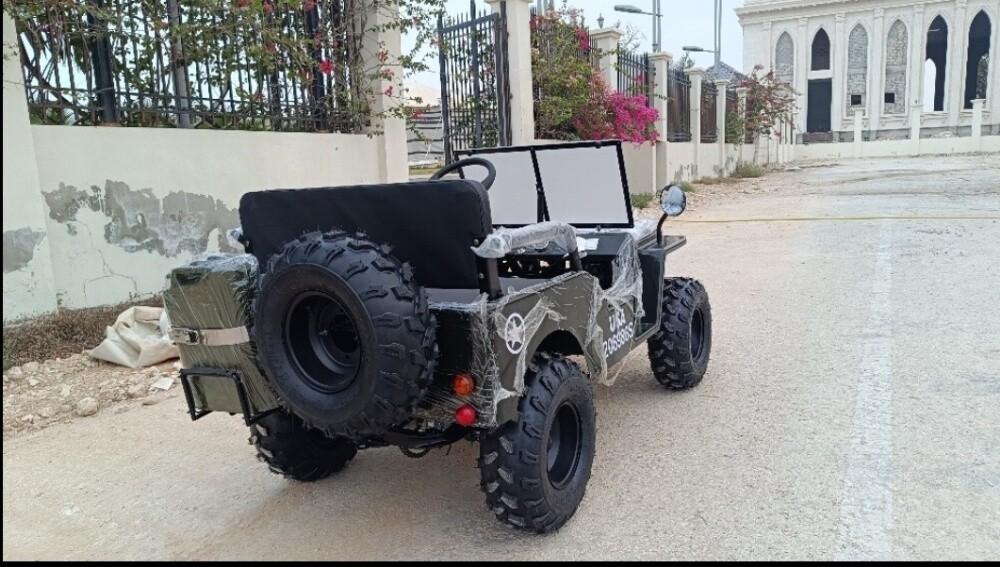 Mini Jeep - 2
