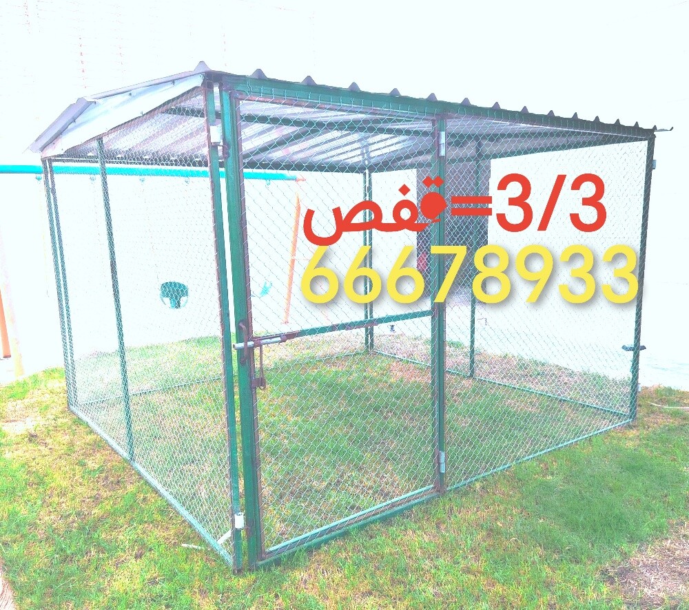 3/3=قفص - 2