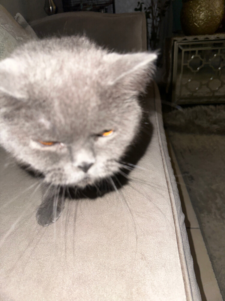 smoky - 2