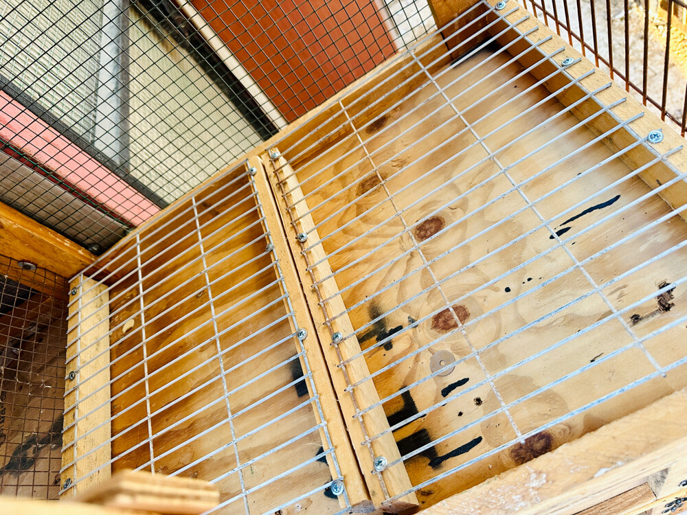 Pigeon Breeding Cage - 2