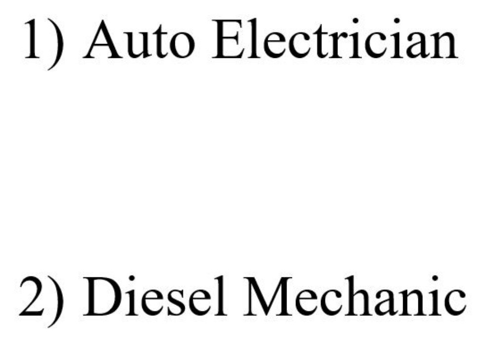 Auto Electrician - Diesel Mechanic - 1