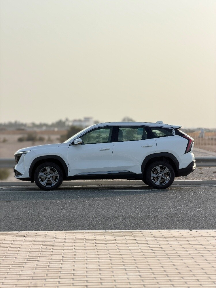geely starray 2025 - 9