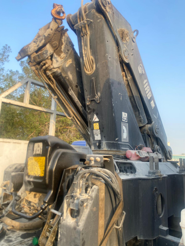  12 Ton crane + Truck - 9