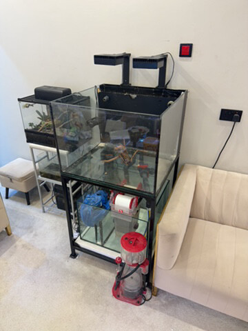 red sea fish tank - 1