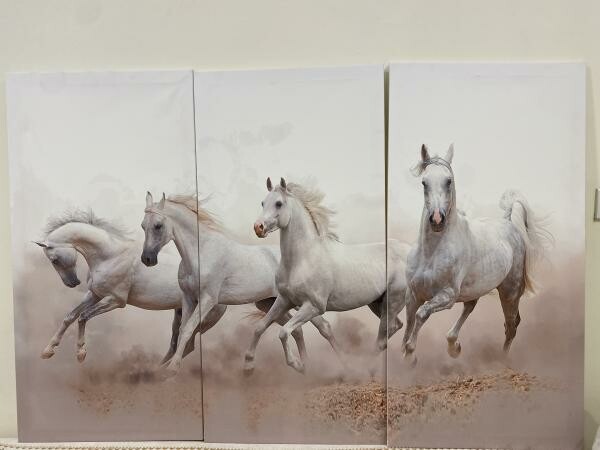 3-Piece Horse Wall Art Set - 1