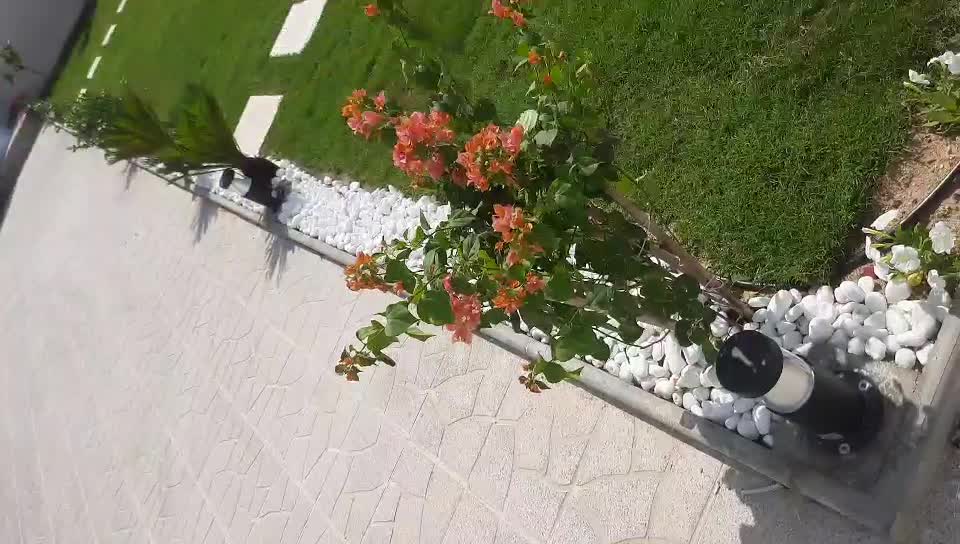 زراعه واعمال النوافير - 30