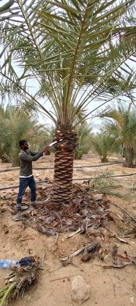تنسيق - 18