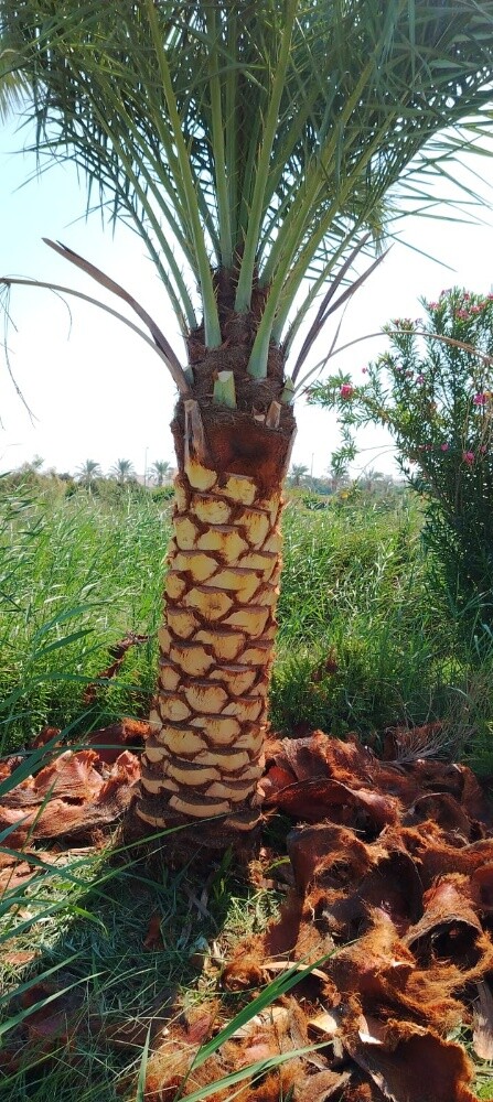 تنسيق - 21