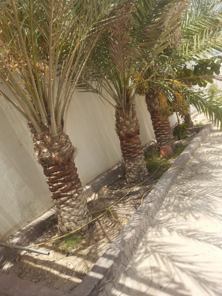 تنسيق - 22