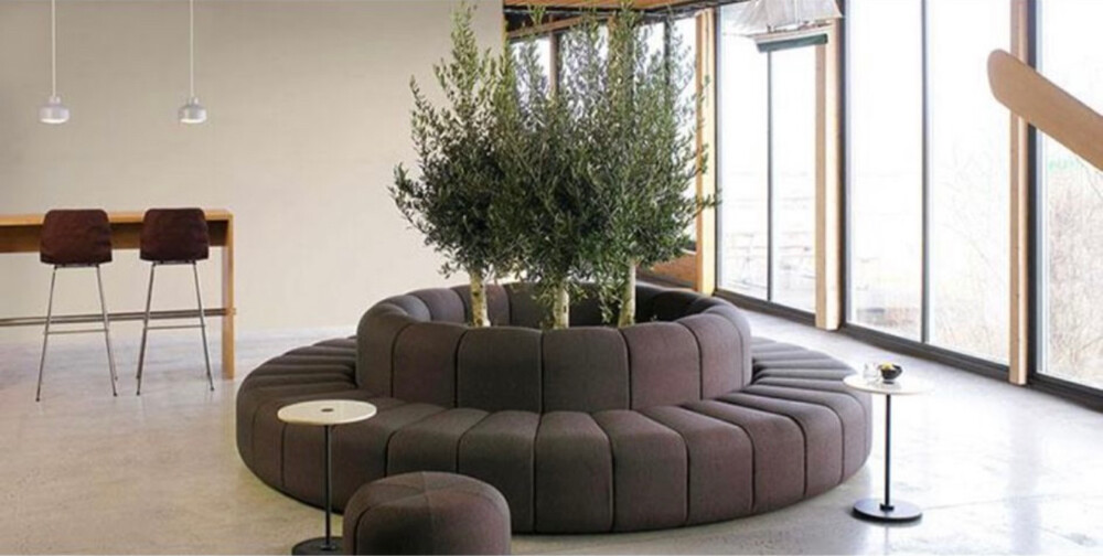 SOFA - 5