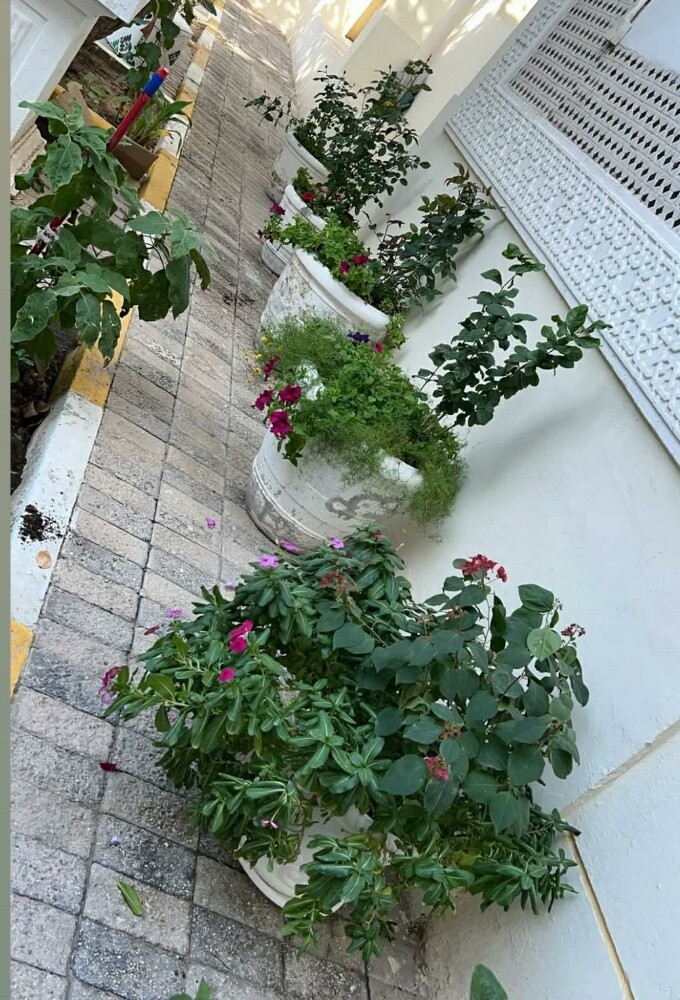 ٠جميع احواض الزرع ٠ - 7