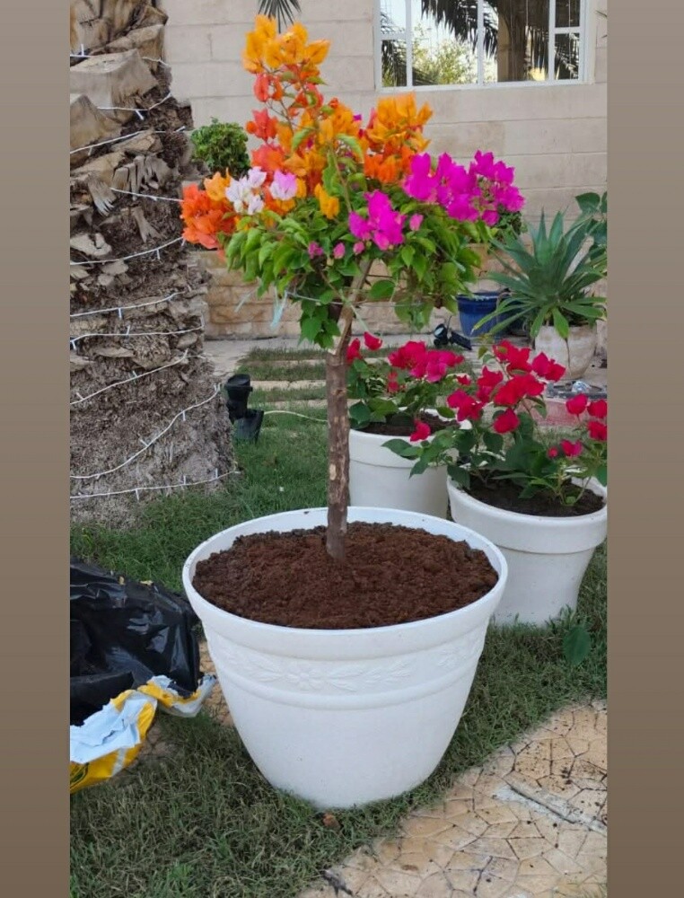 ٠جميع احواض الزرع ٠ - 5