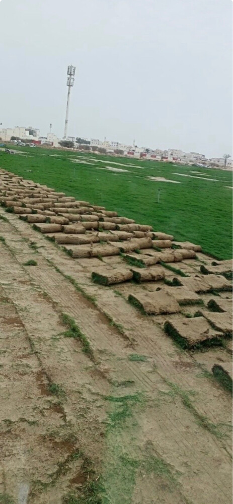 تمديد شبكات ري أوتوماتيك - 2