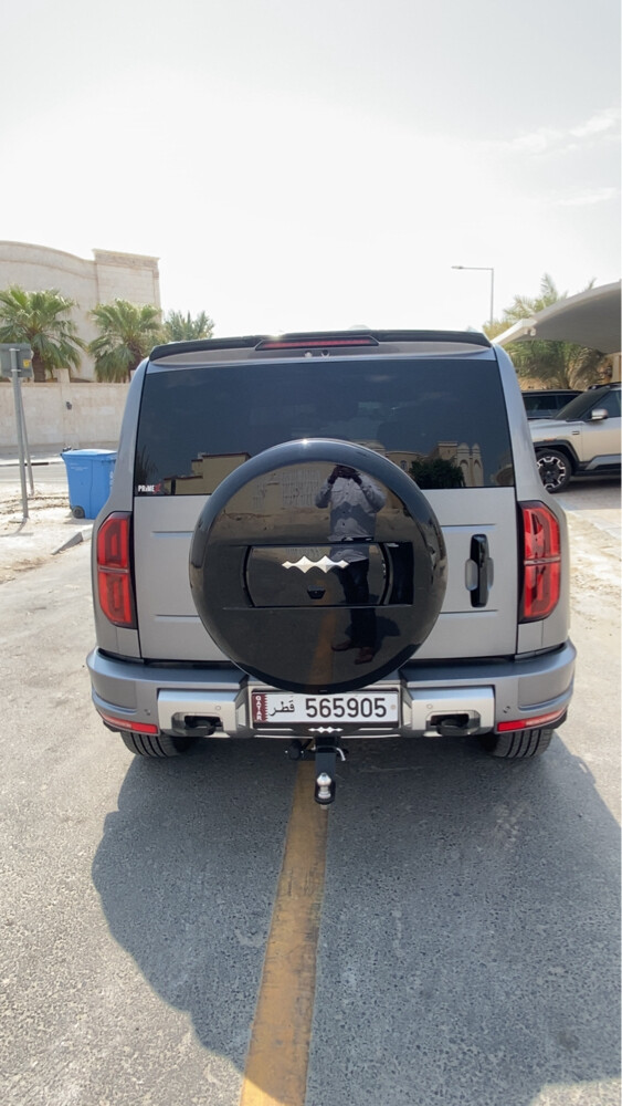 FOR SALE BYD LEOPARD5 - 4