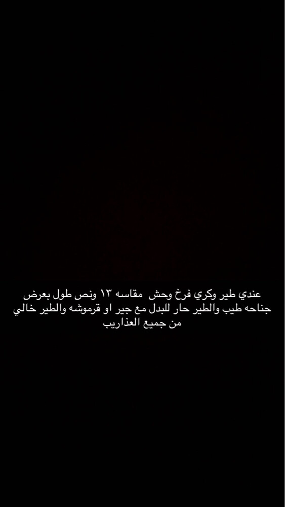 وكري فرخ للبدل - 2