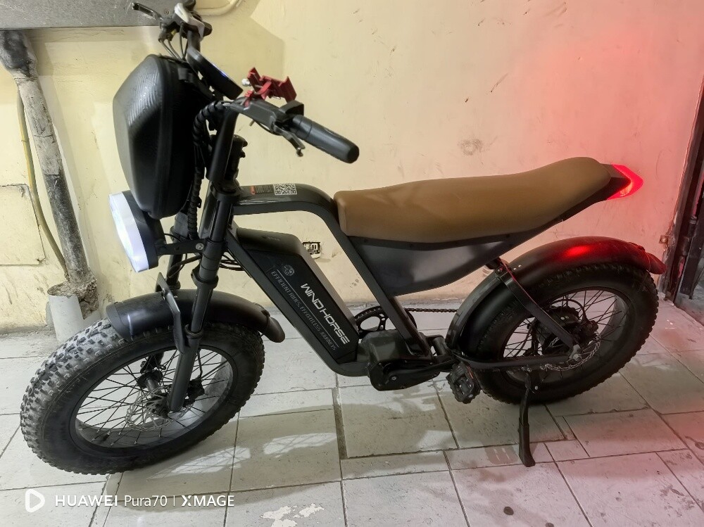 windhorse d3 v8 eclectic scooter - 4