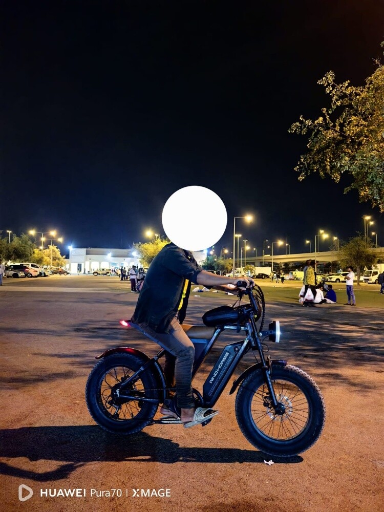 windhorse d3 v8 eclectic scooter - 3