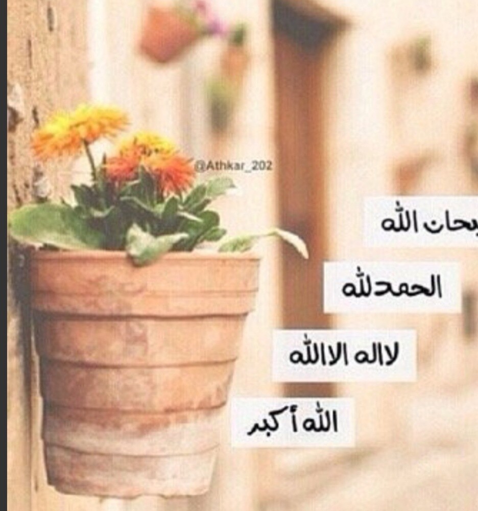 مدرسة إسلاميات وتحفيظ قرآن - 1