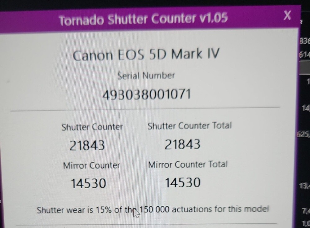 canon 5d iv with lens - 7