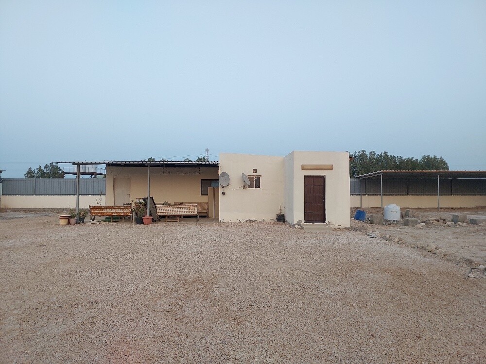 مطلوب عزب من  الملالك - 2