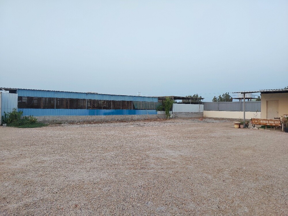 مطلوب عزب من  الملالك - 3