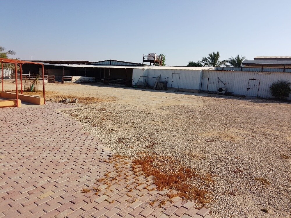 مطلوب عزب من  الملالك - 6