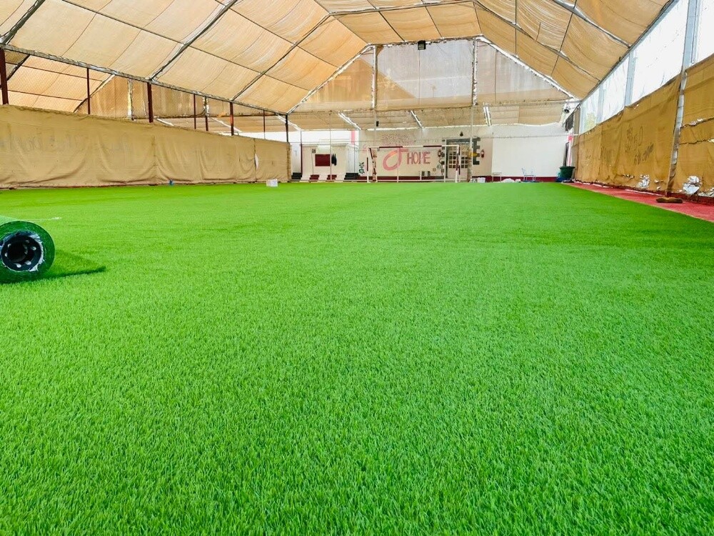 Artificial grass.Grass carpet - 3