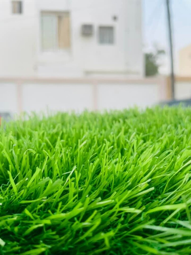 Artificial grass.Grass carpet - 10