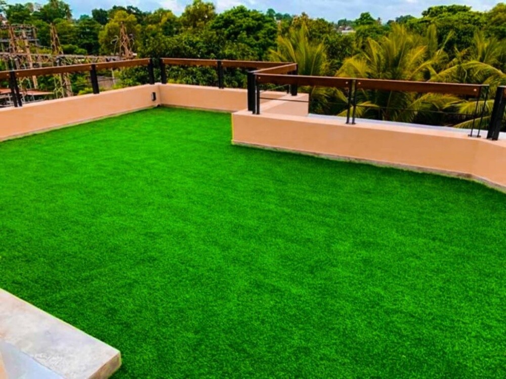 Green carpet, grass carpet - 9