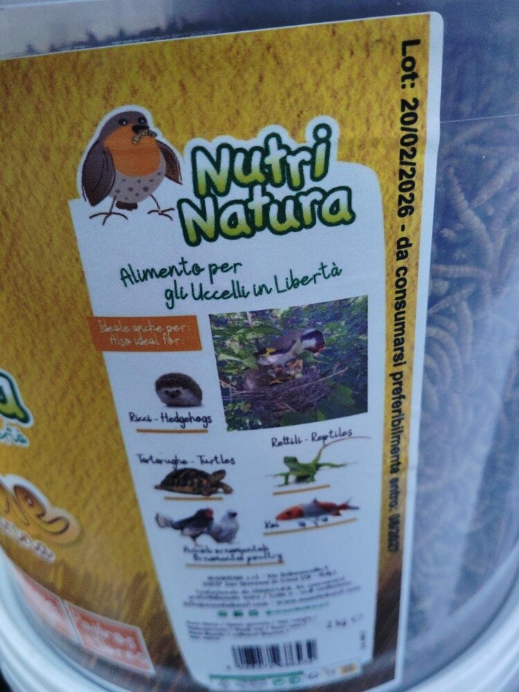 MEAL WARMS 2kg - 4