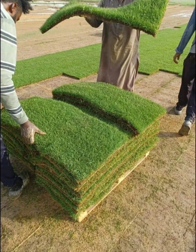 الاعتناء بتنسيق الحدائق - 4