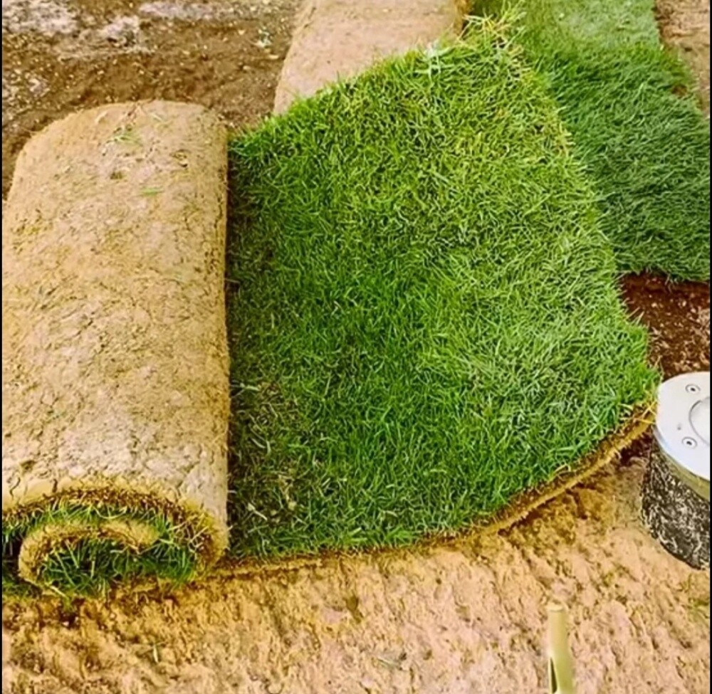 الاعتناء بتنسيق الحدائق - 3