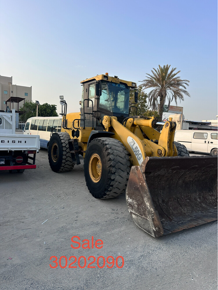 shawal for sale 50925091 - 4
