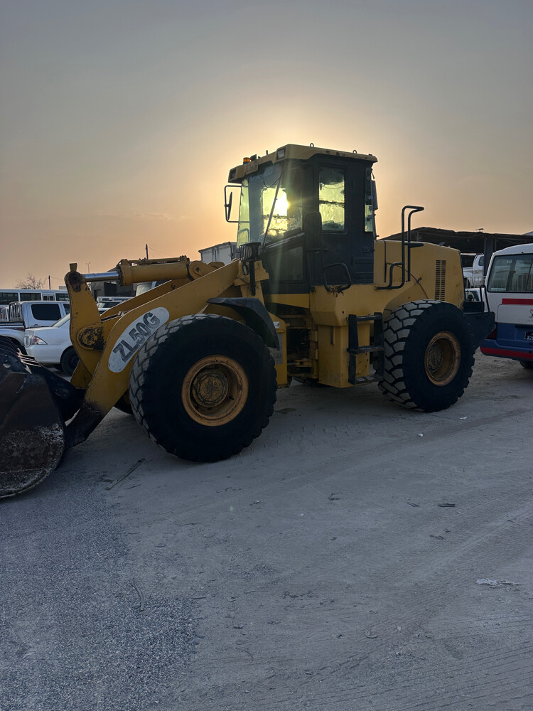 shawal for sale 50925091 - 3