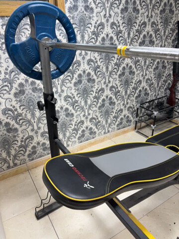 barbell + 20kg plates + bench  - 4
