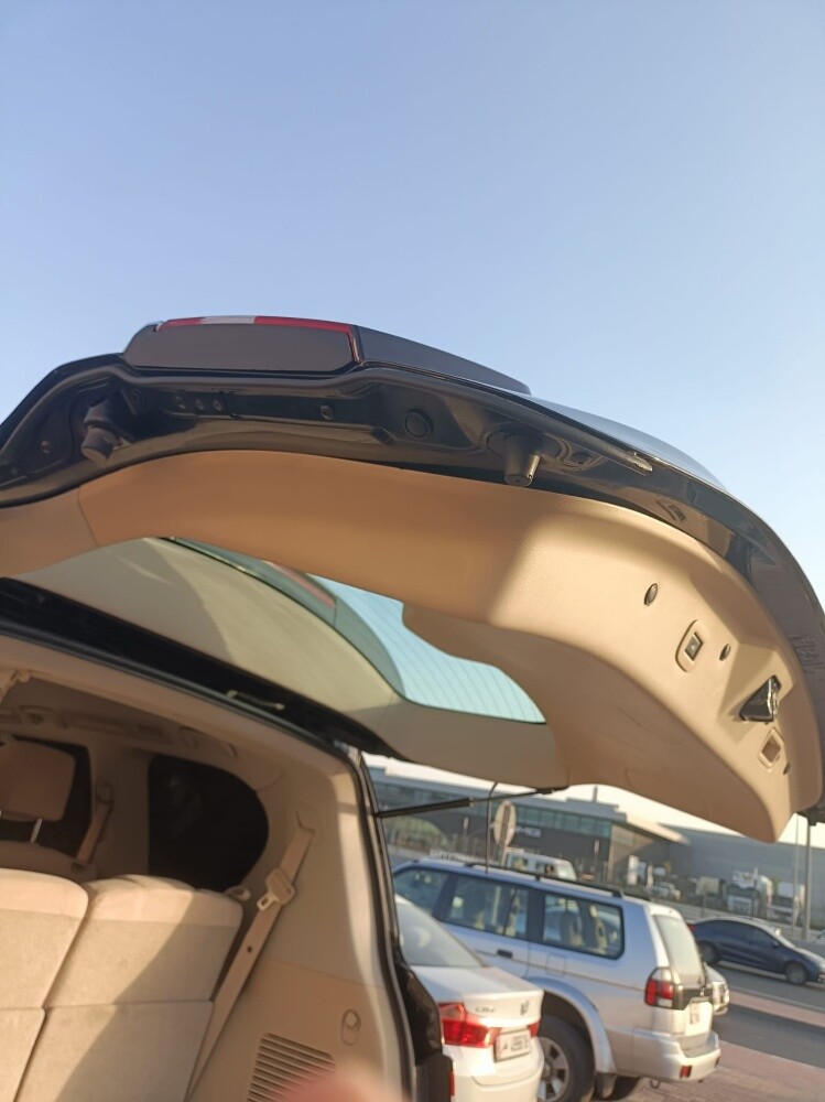 شعيب - 2