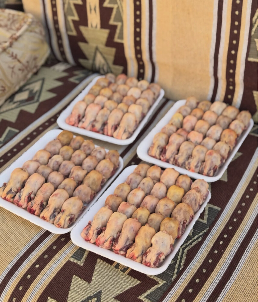 عصافير التين الملكية - 9