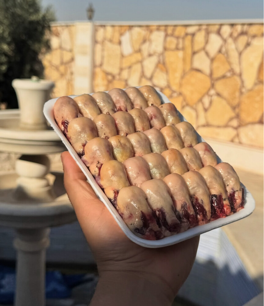 عصافير التين الملكية - 4