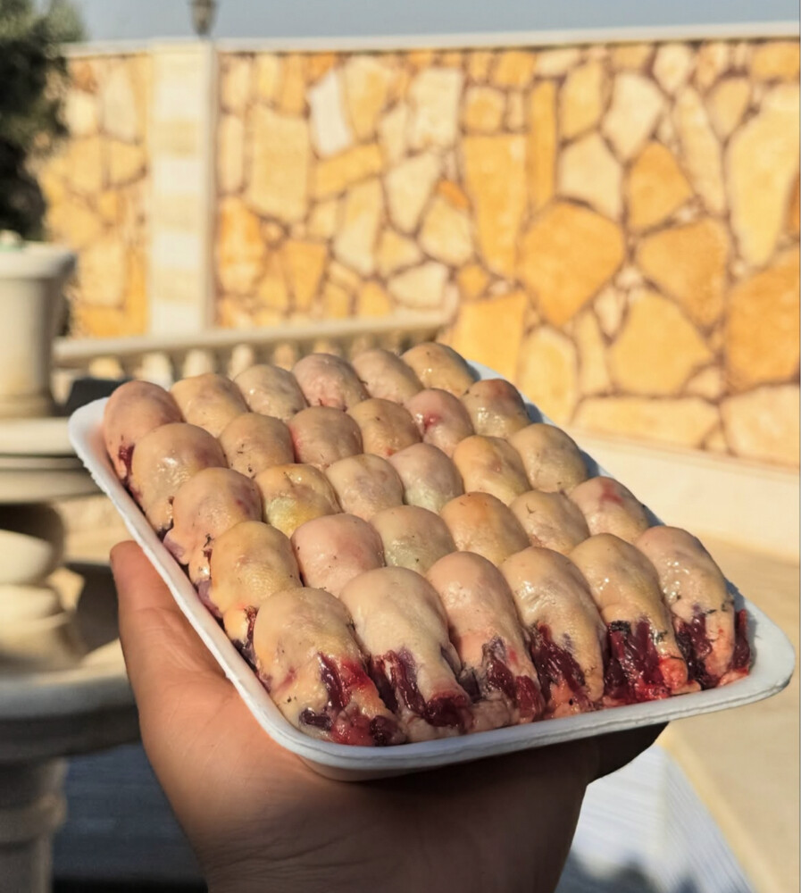 عصافير التين الملكية - 2