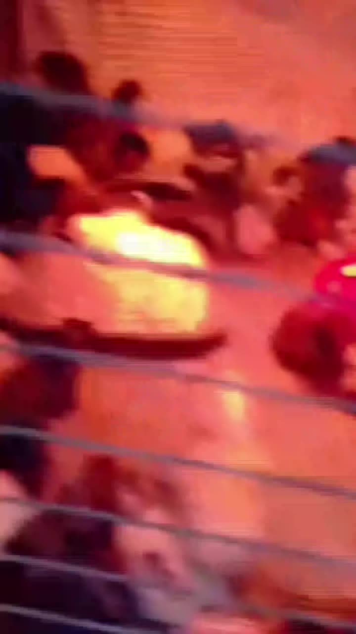 للبيع صوص بلدي لتواصل55963257 - 1