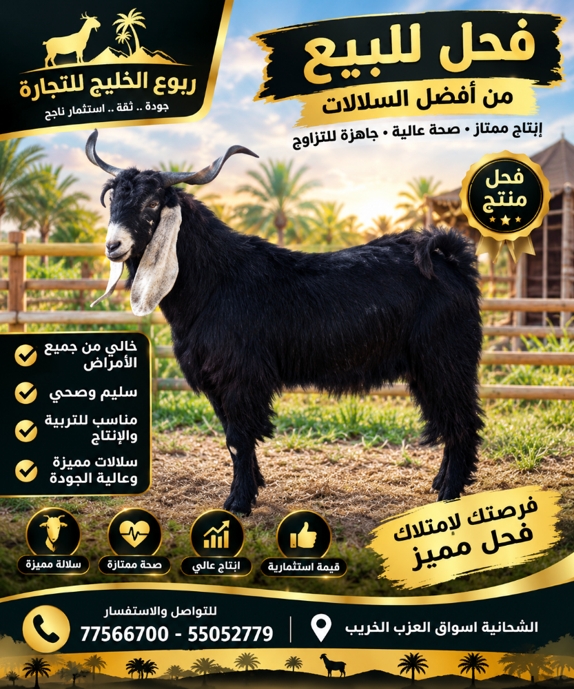 فحول طيبه سليمه من جميع الامراض - 4