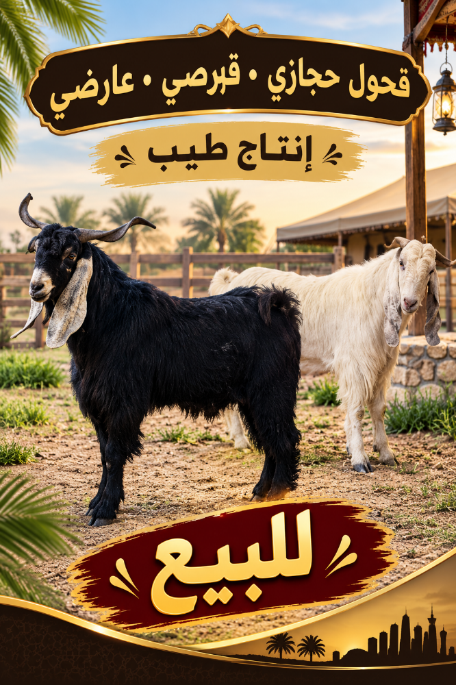 فحول طيبه سليمه من جميع الامراض - 6