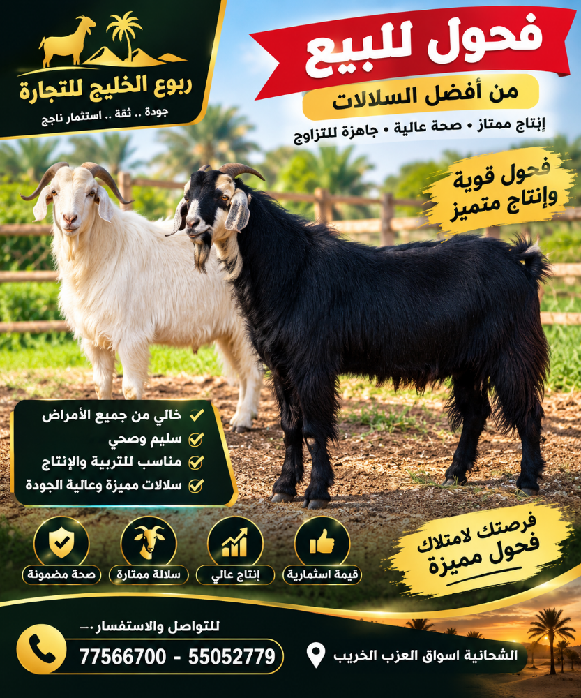 فحول طيبه سليمه من جميع الامراض - 3