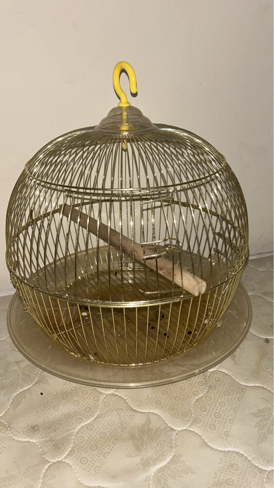 bird comes with 2 cages - 3