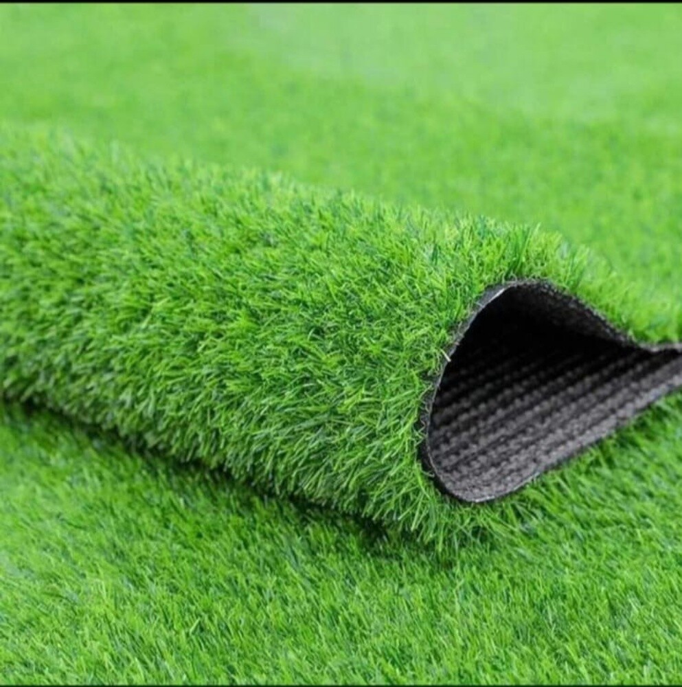 We Have Green Grass Carpet.. - 2