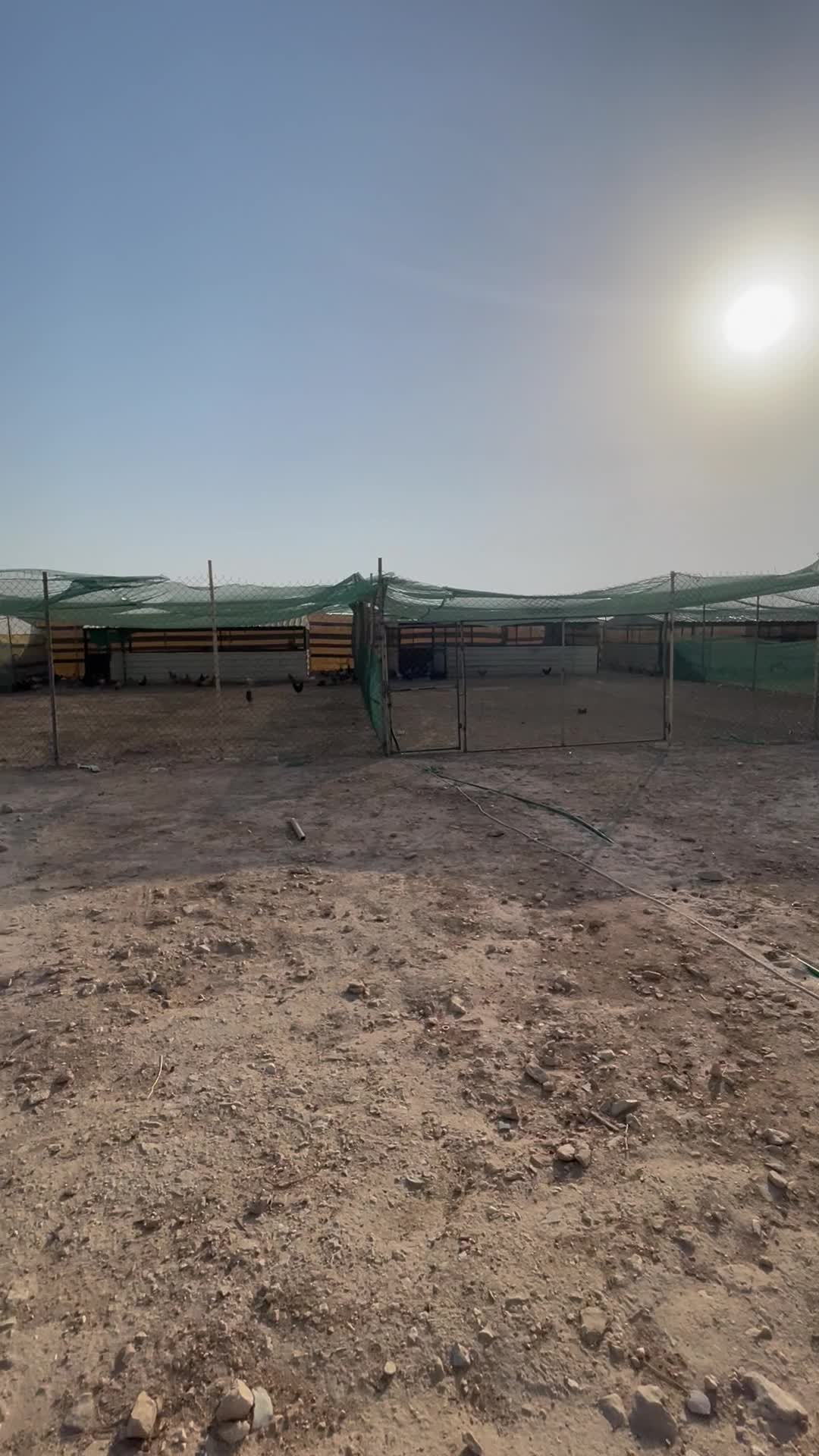 Wire mesh fence - 3